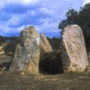 Anta do Olival de Monte Velho